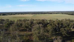 Lot 4 County Road 461 - Photo 12