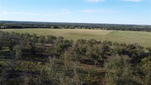 Lot 4 County Road 461 - Photo 13