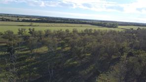 Lot 4 County Road 461 - Photo 14