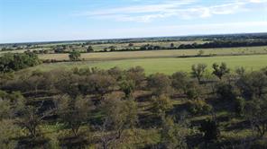 Lot 4 County Road 461 - Photo 15