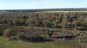 Lot 4 County Road 461 - Photo 16