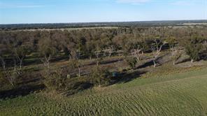 Lot 4 County Road 461 - Photo 17