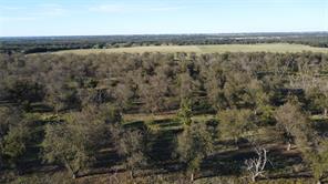 Lot 4 County Road 461 - Photo 18