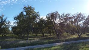 Lot 4 County Road 461 - Photo 2