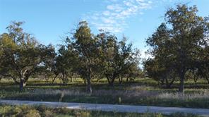 Lot 4 County Road 461 - Photo 3