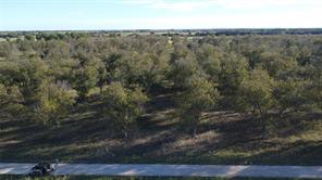 Lot 4 County Road 461 - Photo 4