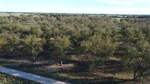 Lot 4 County Road 461 - Photo 5