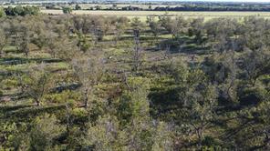 Lot 4 County Road 461 - Photo 6