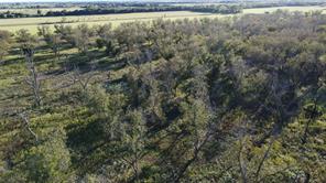 Lot 4 County Road 461 - Photo 7
