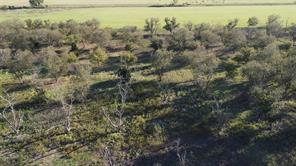 Lot 4 County Road 461 - Photo 8