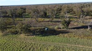 Lot 4 County Road 461 - Photo 9