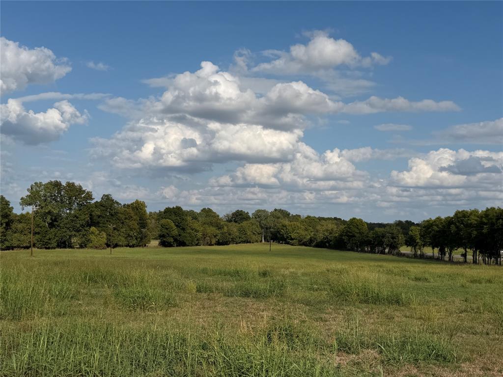 TBD Texas Highway 37 S - Photo 1