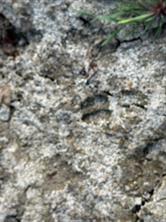 TBD Texas Highway 37 S - Photo 4