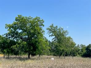 Lot 24 PR 6332 - Photo 3