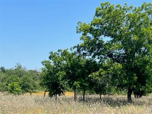 Lot 24 PR 6332 - Photo 5