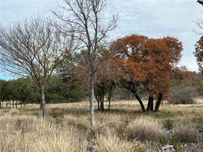 Lot 24 PR 6332 - Photo 6