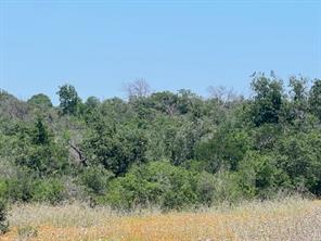 Lot 24 PR 6332 - Photo 7