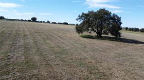 Lot 2 FM 2823 - Photo 12