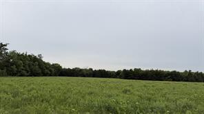 TBD Farm Road 114 - Photo 10