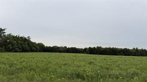 TBD Farm Road 114 - Photo 11