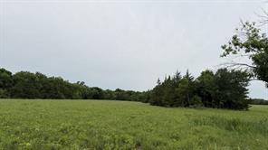 TBD Farm Road 114 - Photo 12