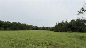 TBD Farm Road 114 - Photo 13