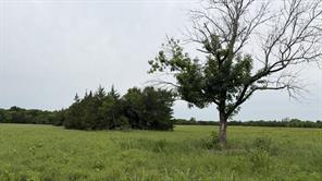 TBD Farm Road 114 - Photo 14