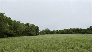 TBD Farm Road 114 - Photo 19