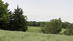 TBD Farm Road 114 - Photo 3