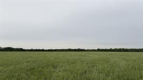 TBD Farm Road 114 - Photo 4