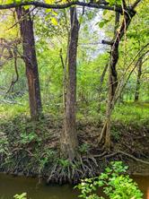 0000 County Road 855 - Photo 18