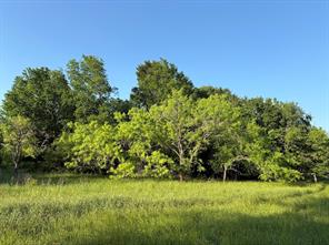 0000 County Road 855 - Photo 19