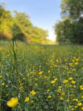 0000 County Road 855 - Photo 20