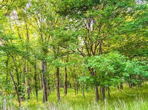 0000 County Road 855 - Photo 8