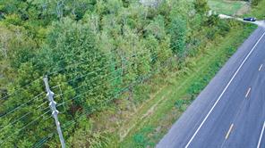 Lot 1 Fm-1960 Road - Photo 6