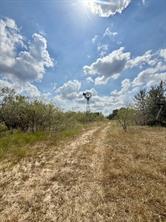 00 ANCHOR RANCH Loop - Photo 10