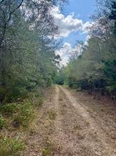 00 ANCHOR RANCH Loop - Photo 11