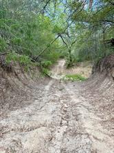 00 ANCHOR RANCH Loop - Photo 12