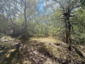 00 ANCHOR RANCH Loop - Photo 13