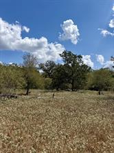 00 ANCHOR RANCH Loop - Photo 2