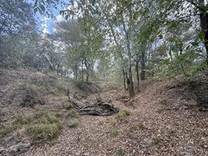 00 ANCHOR RANCH Loop - Photo 3