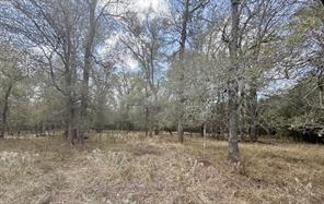 00 ANCHOR RANCH Loop - Photo 5