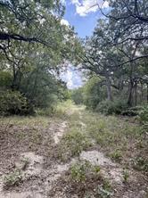 00 ANCHOR RANCH Loop - Photo 6