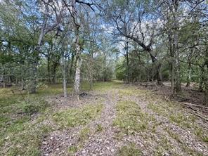 00 ANCHOR RANCH Loop - Photo 7