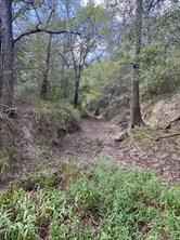 00 ANCHOR RANCH Loop - Photo 8