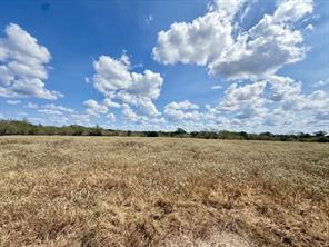 00 ANCHOR RANCH Loop - Photo 9