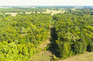 TBD Posey Brewer Road - Photo 7