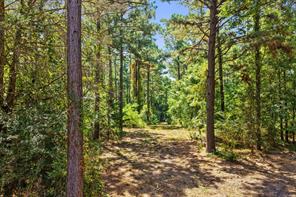 TBD County Road 1240 - Photo 10