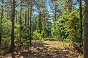 TBD County Road 1240 - Photo 11