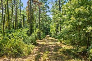 TBD County Road 1240 - Photo 12